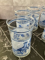 Libbey 10 oz glasses Frosted Blue bird and flower 5.25” X 2.50” Set of 11