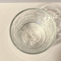 Libbey Embossed Leaves Clear Glass Lowball On The Rocks Glass 12oz.