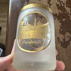 Fine Antique Spy Glass Tumbler Warmbrunn C. 1850 Frosted Cut Vignettes Castle