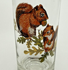 Vintage West Virginia Glass Co American Wildlife Highball Glasses Set of Eight
