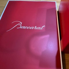 Baccarat Japan Vita Crystal Glass Set 175ml 2-Piece with Box and Accessories