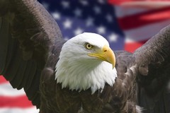 Crystal Brandy Snifters Cut Glass Pinwheel Pattern Set of 4 Stemmed Glasses