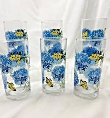 Libbey Hydrangea Butterfly Glasses Tumblers 16 oz Set of 6 VTG by Royal Norfolk