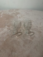 Vintage Etched Champagne Flutes Pair French Crest Toasting Glasses J.M. Mon Mous