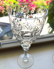 Rogaska Gallia Crystal Wine Water Goblet Glass Etched Floral Slovenia 9.25″