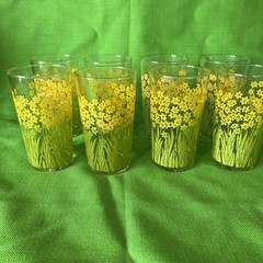 Jane Lynn Style Daffodil Garden 4.5” Retro Glasses Complete Set Of 8 VTG 70s MCM