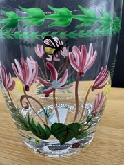 Portmeirion Botanic Garden Double Old Fashioned Glasses 14 fl. oz ~ In Box