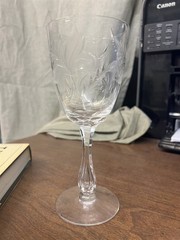Tiffin Fernwood #17372 Air Bubble Stem Water Goblet 7-3/4″