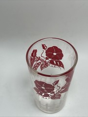 Vintage Red Morning Glory Floral Flowers Juice Glasses Cottage Core MCM Set Of 4