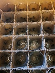 Vintage Libbey Mid Century Tall Shot Glass/Juice Glass Lot Of 35