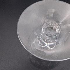 Fostoria Meadow Rose Etched Oyster Fruit Cocktail Juice Glasses 3 5/8” Set of 4