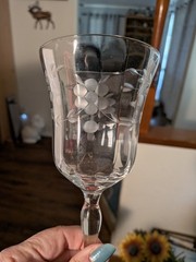 Set of 2 Etched Floral & Leaf designs Crystal Wine Glasses