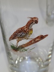 Vintage Game Bird 10 GameBird Highball Glasses 3D Gold Rims Hunting Lodge Decor
