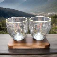 Bodum Double Wall Glass Tumblers Set of 2, 8 oz Clear Solid Color Round