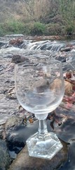 Set Of 2 «Maria» by Rosenthal Group Germany «Cassic Rose» Goblets