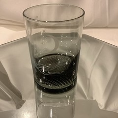 MCM Smoke Gray 4” On The Rocks Glass Owl on Branch w/Moon Stars – Set of 8