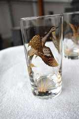 Set of 4 Golden Mallard geese/duck Libby tall Cocktail Highball glasses set