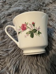 Rose Floral Tea Cup Saucer Set Porcelain Gold Rim Pink Flower Trim Tea Party Dec