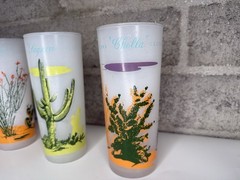 Vintage Arizona Cactus Frosted Glasses Set of 8 Tumblers w Metal Carrier MCM