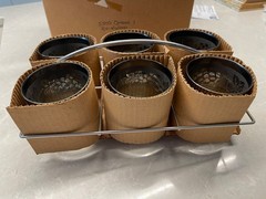 NOS MCM Set 6 Queens Lusterware Silver Fade Filigree Cocktail Glasses w/Caddy