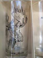 Animals Wildlife Hunting BARWEAR VINTAGE Set of 8