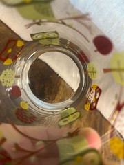 Libby Crisa Vintage Owl-Themed Glass Tumbler With Colorful Branch & Leaf Design