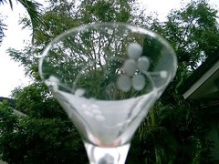 SET OF 3 VINTAGE FLORAL WHEEL CUT CORDIAL GLASSES 5″ DELICATE STEMMED GLASSES