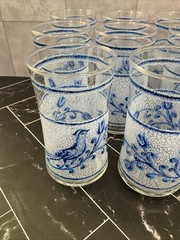 Libbey 10 oz glasses Frosted Blue bird and flower 5.25” X 2.50” Set of 11
