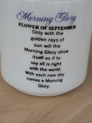 Vintage Brockway Flower of the Month Mug Cup Milk Glass Morning Glory September