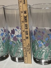Vtg Libbey Collette Springtime Tulip Drinking Glass Set of 4 Flowers Glass 6″