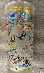 CATSTUDIO Souvenir Glass 2015 FLORIDA Sunshine State Frosted Tall Tumbler