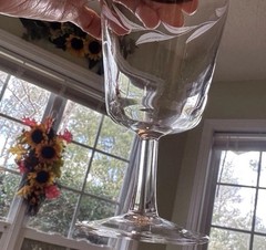 Cristal D Arques Etched Laurel Leaf Water Goblets with Platinum Rim Set Of 7