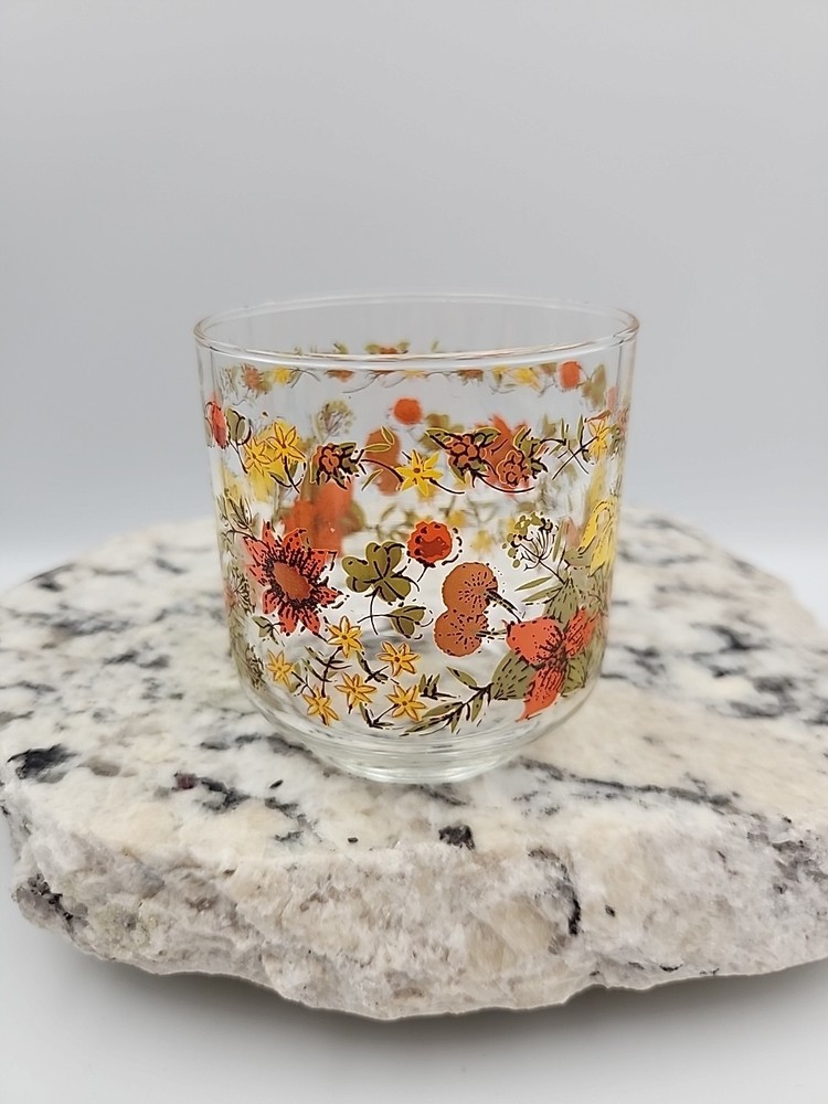 Vintage Libby Libbey Harvest 6 oz Rock Water Juice Glass Indian Summer