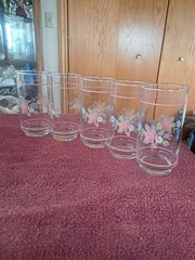 Pfaltzgraff Tea Rose Floral Libbey Tumbler Drinking Glasses Pink Bands Set of 5