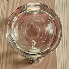 Vintage Mid Century MCM Etched Glass Seagull Pitcher Bach Bird Clear