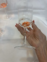 Rare Chin-Chin Stemware by ANTHROPOLOGIE WINE STEMWARE Set of 6 Beautiful