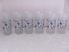 Spode Imperial Garden/Choices-Frosted 12 oz Highball Tumbler Glasses – Set of 6