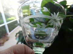 Weston Clear Crystal Green Stem Liquor Cocktail Grey Cut Flower Horizontal Band