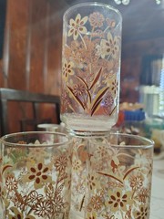 Floral Pattern Decorated Glass Tumbler Set, Clear Brown Beige, Vintage Design