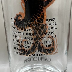 Vtg Capricorn Zodiac Gold Sea-Goat Drinking Glass Astrology Barware 5.5″ Tumbler