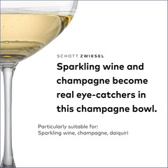 Bar Special Champagne Bowl (Set of 6), Elegant Champagne Glasses, Dishwasher-Saf
