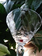 Unknown Maker Wheel Cut Rose Low Sherbet w/ Red Foot (UNK424) Excel Used Cond.