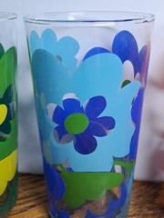 Retro Floral Glasses 7 Oz Set Of 5