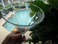 Colony Glass Clear Blown Made in Romania Wheel Cut Sandra 7oz Water Goblet VGUC