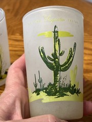 Set 3 Vintage Blakely Oil & Gas Arizona Cactus Frosted Glass Juice Glasses READ