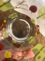 Libby Crisa Vintage Owl-Themed Glass Tumbler With Colorful Branch & Leaf Design