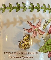 (4) PORTMEIRION Botanic Garden 18oz. 7” Tall Water Goblets Wine Glasses