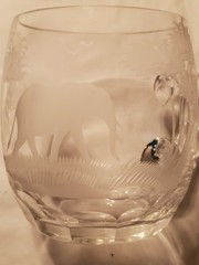 (8) Moser Roland Queen Lace Kenyan African Elephant Sable Lion Etched Glass Mug
