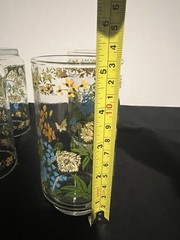 Set Of 7- Libbey Corelle Spring Meadow 10 oz Tumbler Glasses- 5 1/4» EUC Floral