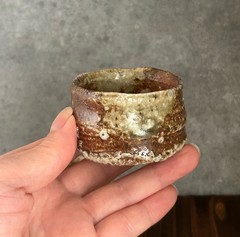 Hide Fujimoto Shigaraki Ware Guinomi Sake Cup Natural Ash Glaze Pottery Japan